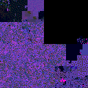 usr/sbin/odhcpd