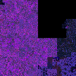 dmesg